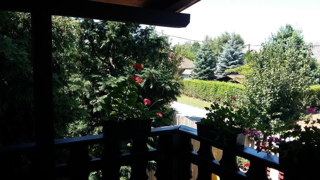 فندق Emi Vendeghaz Balatonszárszó المظهر الخارجي الصورة